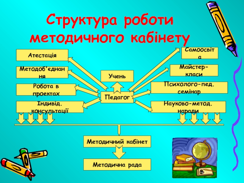 Курсовая работа: Методика використання кімнатних рослин у навчально-виховній роботі з біології