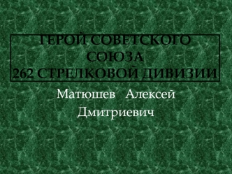 Герой советского союза262 стрелковой дивизии