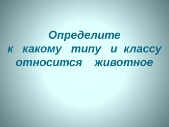 Определите 
к   какому   типу   и  классу относится    животное