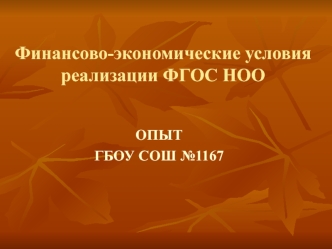 Финансово-экономические условия реализации ФГОС НОО
