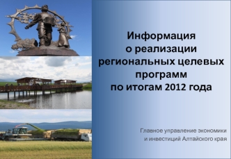 Информация о реализации региональных целевых программ по итогам 2012 года