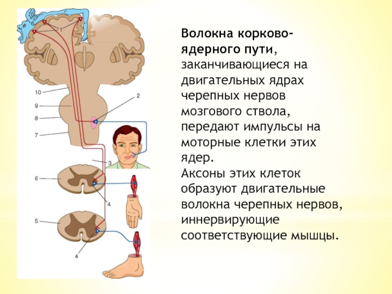 Карта садков о