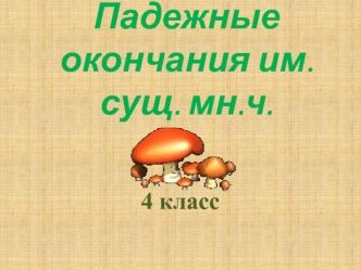 Падежные окончания им. сущ. мн.ч.
