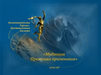 Медиация Практика применения 2012 год