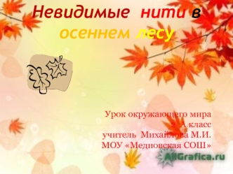 Невидимые  нити в осеннем лесу