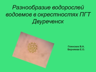 Разнообразие водорослей водоемов в окрестностях ПГТ Двуреченск