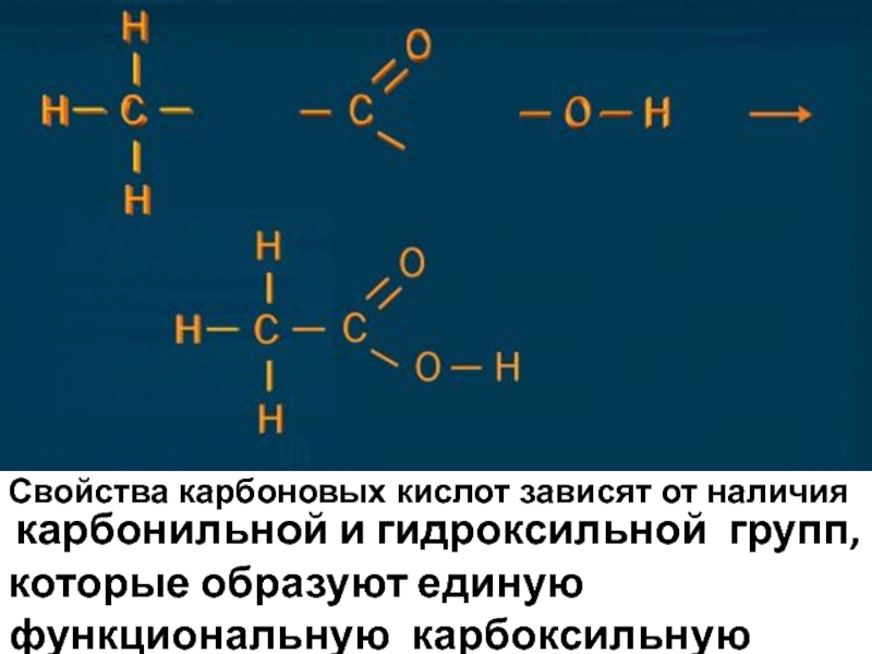 Карбонильная и карбоксильная группы. Реакции карбонильной и гидроксильной групп. Карбоксильная и гидроксильная группа. Функциональная группа карбоновых кислот. Карбонильная функциональная группа формула.