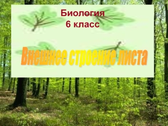 Биология 6 класс