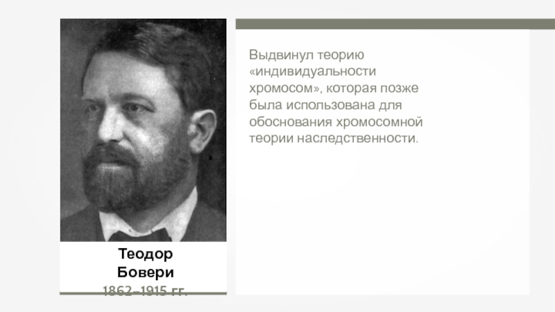 Выдвинуть теорию. Теодор Бовери. Теодор Бовери 1888. Бовери и Сеттон. Бовери Морган.