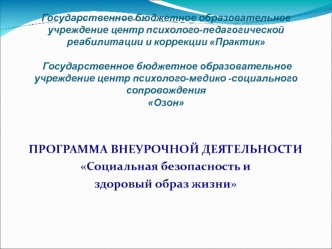 ПРОГРАММА ВНЕУРОЧНОЙ ДЕЯТЕЛЬНОСТИ
Социальная безопасность и 
здоровый образ жизни