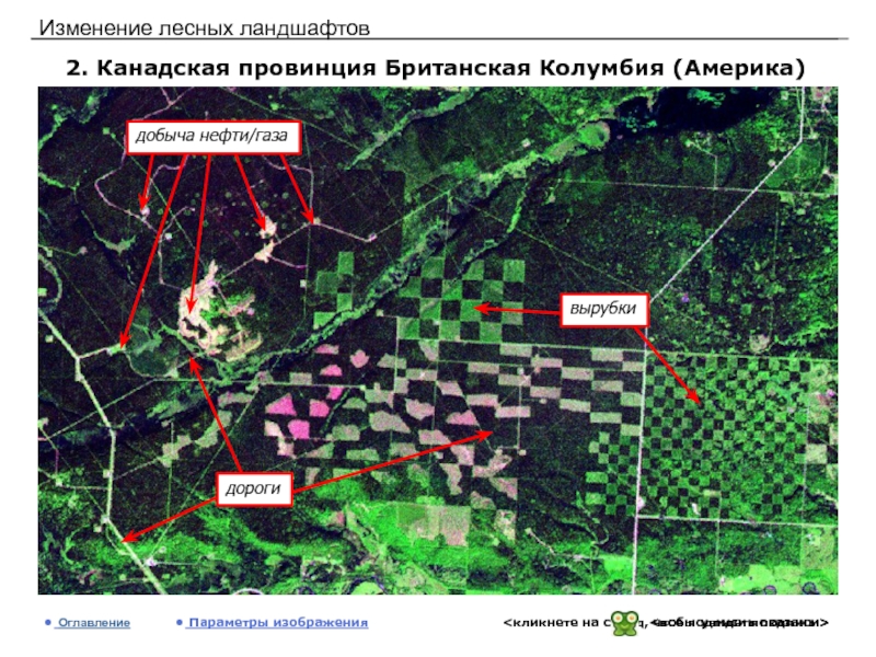 Лесной ландшафт презентация