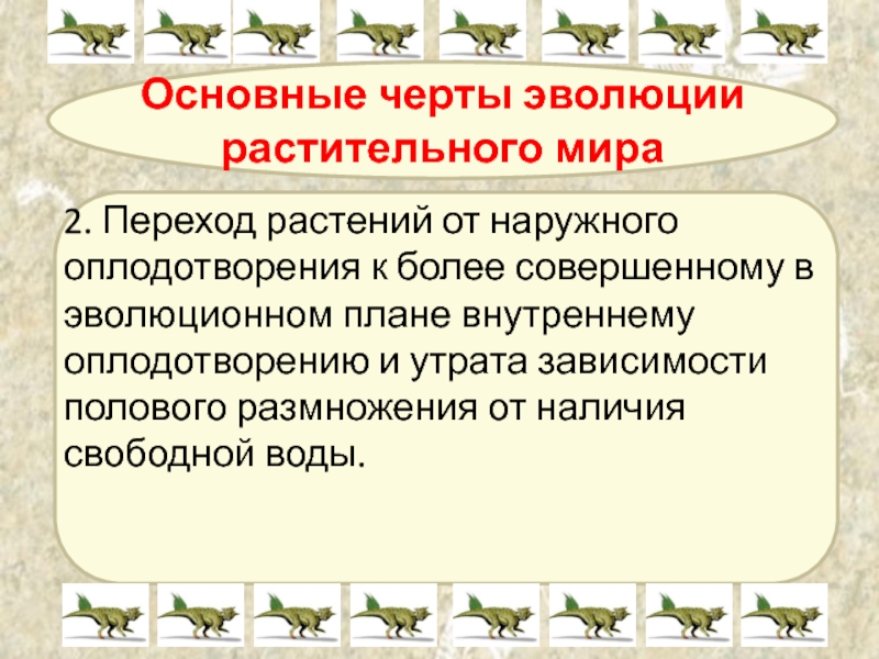 Презентация основные этапы развития растительного мира 6 класс презентация