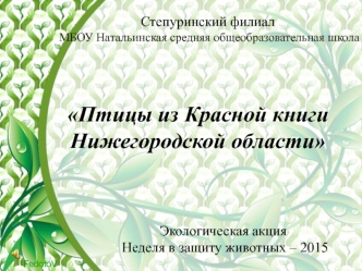 Птицы из Красной книги Нижегородской области