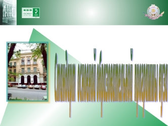 Стандарт 
основной образовательной 
программы вуза