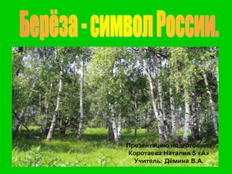 Берёза - символ России.