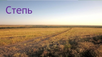 Викторина. Степь и горы. (Урок ИЗО)