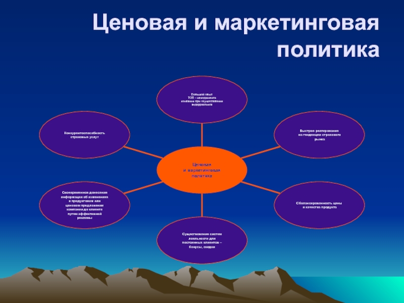 Маркетинговая политика образец