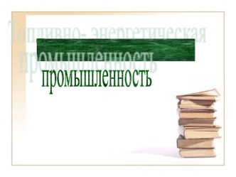 Топливно- энергетическая