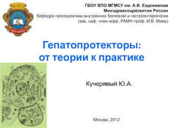 Гепатопротекторы: от теории к практике