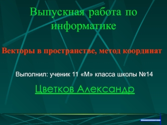 Выпускная работа по информатике