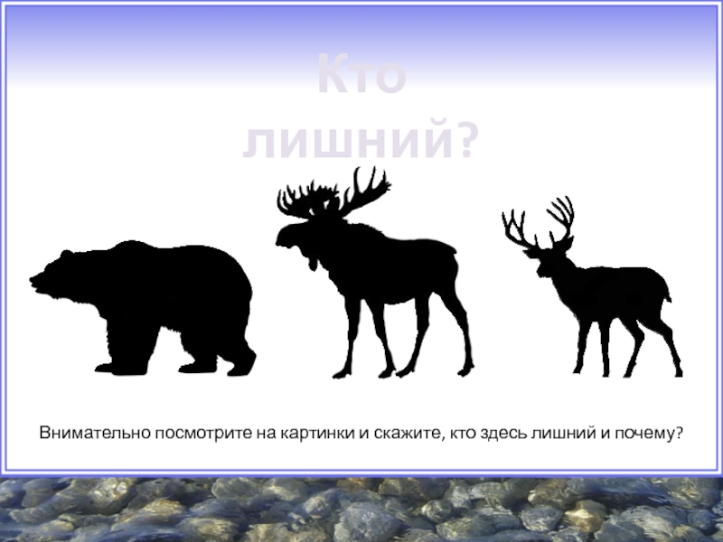 Кто здесь. Кто здесь лишний?. Кто тут лишний. Кто здесь лишний картинки. Картинки кто тут лишний.