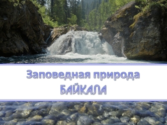 Заповедная природа Байкала