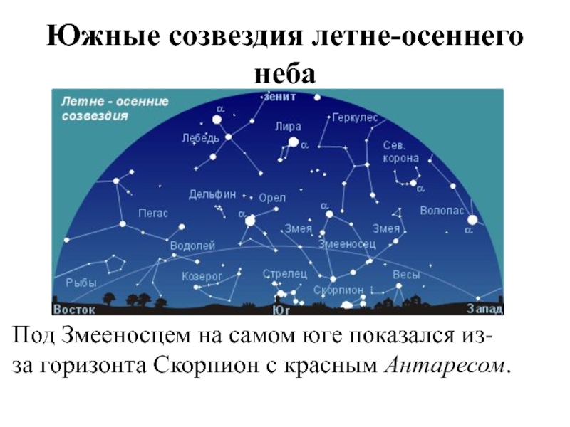 Созвездие июня. Созвездия летнего неба. Созвездия которые видно. Карта созвездий летнего неба. Созвездия на небе летом.