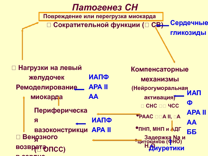 Компенсаторные механизмы при сердечной недостаточности. Патогенез СН. Ремоделирование миокарда патогенез. Патогенез миокардиальной формы сердечной недостаточности. Активация СНС патофизиология.