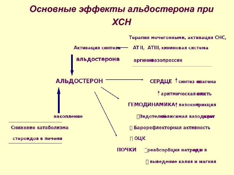 Основной эффект. Альдостерон метаболические эффекты. Альдостерон основные эффекты. Альдостерон физиологический эффект. Основные функциональные эффекты альдостерона.