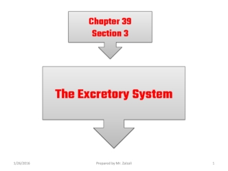 The excretory system. (Chapter 39. Section 3)