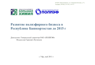 Развитие полиэфирного бизнеса в Республике Башкортостан до 2015 г