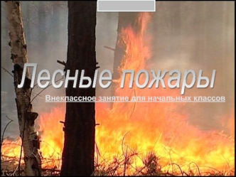 Лесные пожары