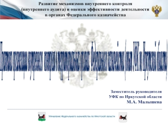 Практика организации внутреннего
 контроля в территориальных органах 
Федерального казначейства
(опыт УФК по Иркутской области)