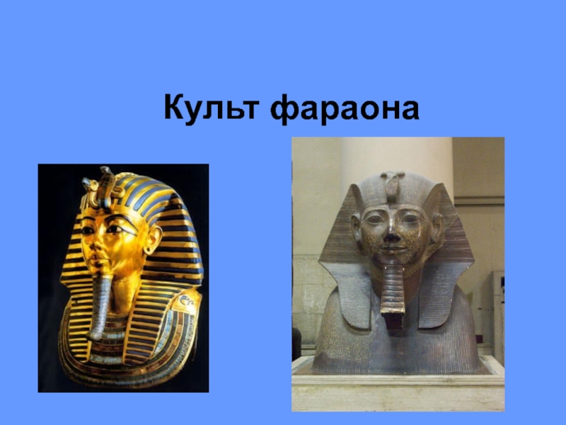 Обожествление фараона 5 класс история. Обожествление фараона в древнем Египте. Культ фараона. Культ фараона в древнем Египте. Почитание фараона.
