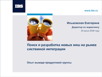 Поиск и разработка новых ниш на рынке системной интеграции