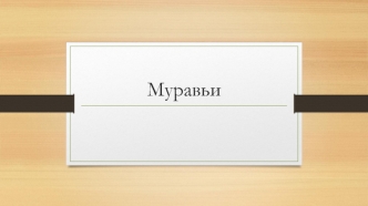 Муравьи. Муравейник