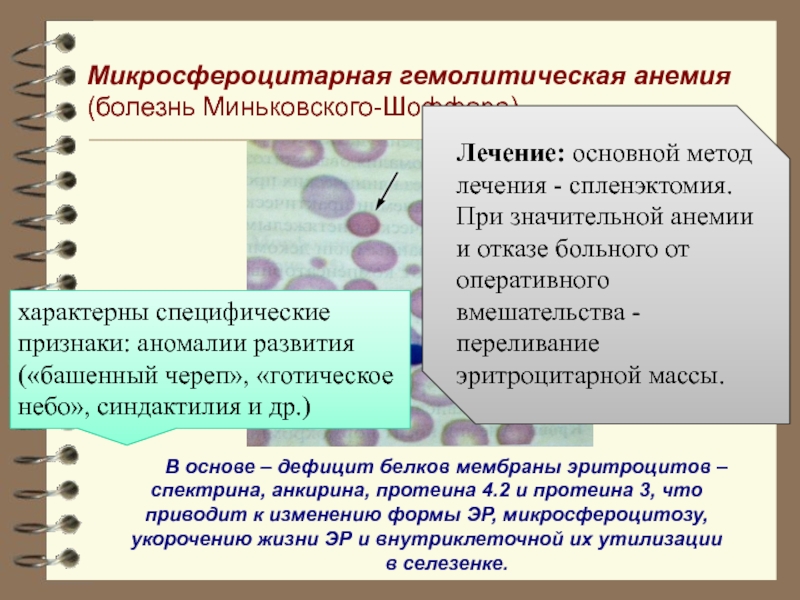 Определить напряженность поля в мембране эритроцита толщиной