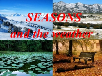 Seasons and the weather