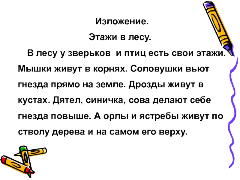 Изложение 7 класс по русскому. Изложение этажи леса. Этажи в лесу изложение. У птиц и зверьков в лесу есть свои этажи. Изложение у птиц и зверьков есть свои этажи мыши живут в корнях.