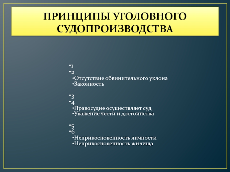 Принципы уголовного судопроизводства презентация