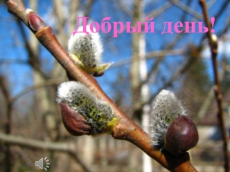 Добрый день!