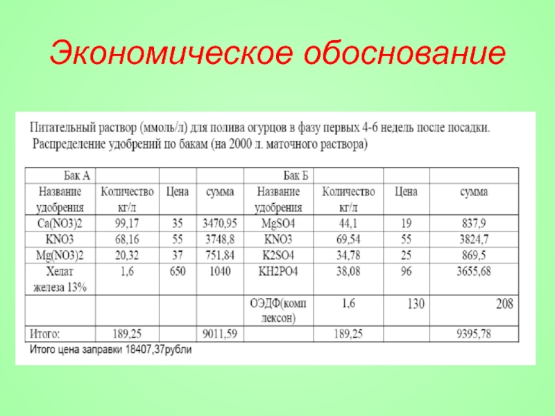 Экономическое обоснование образец