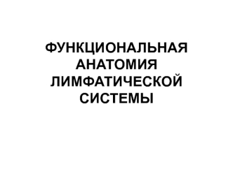 Функциональная анатомия лимфатической системы