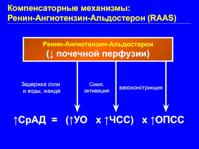 Альдостерон плазма