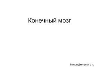 Конечный мозг