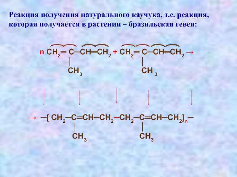 Натуральный каучук районы выращивания