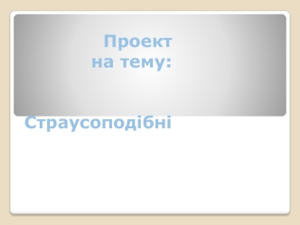 Страусоподібні. Поділ представників: