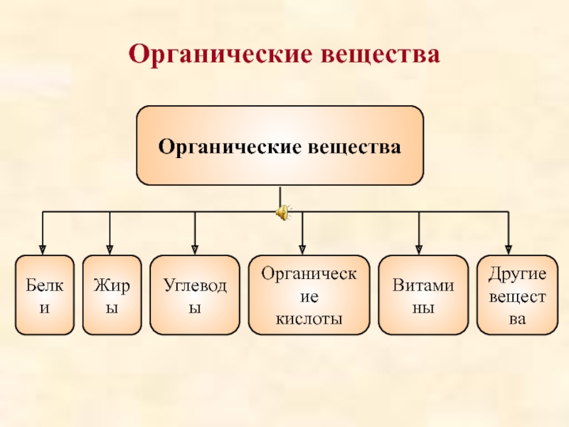 Биологические вещества. Набор органические вещества. Сада органическое вещество. Минимальные натуральные вещества.