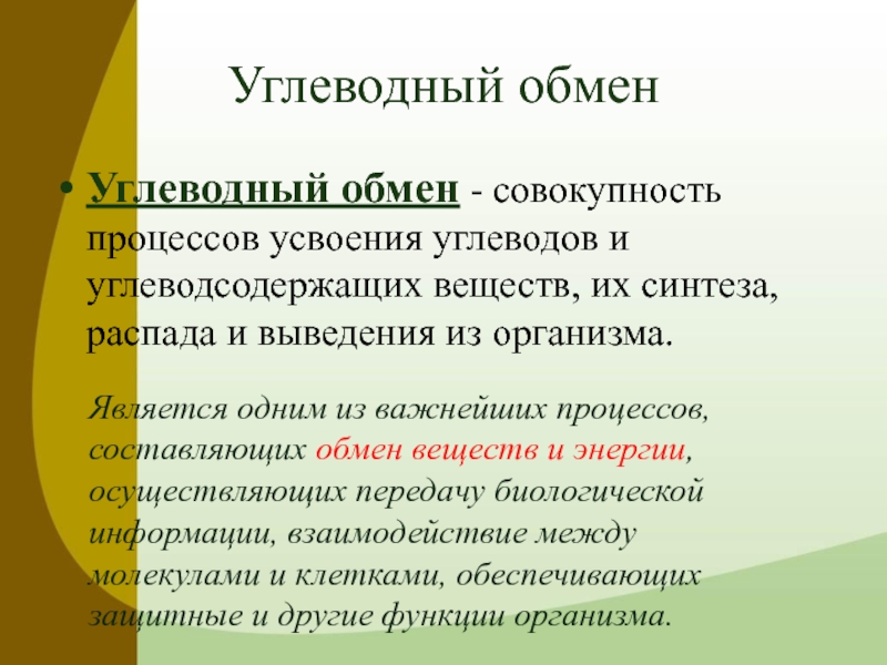 Обмен углеводов в организме схема