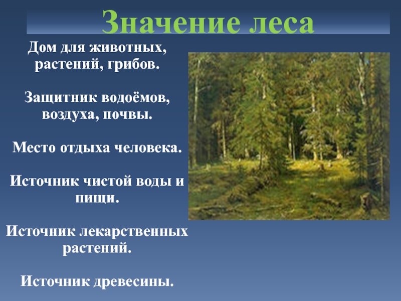 Лес защитник воздуха водоемов и почв рисунок